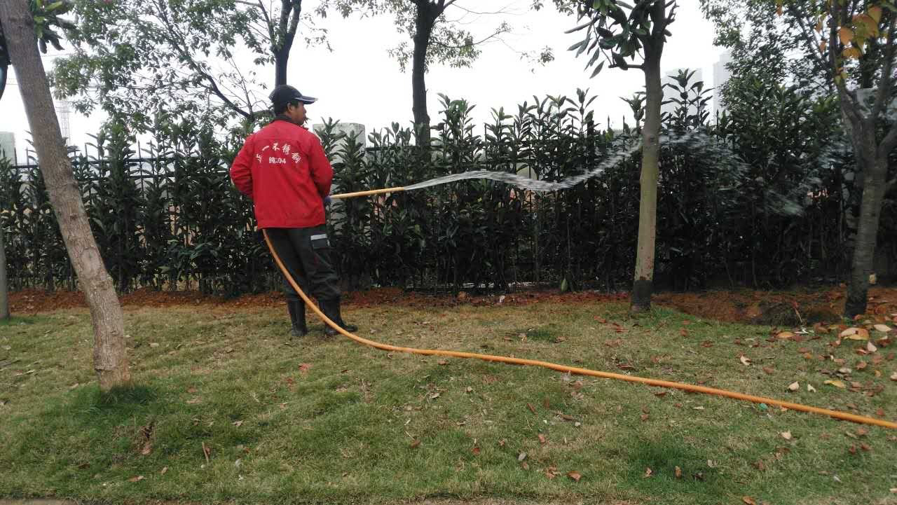 管護(hù)公司開展冬季道路綠化植被養(yǎng)護(hù)工作